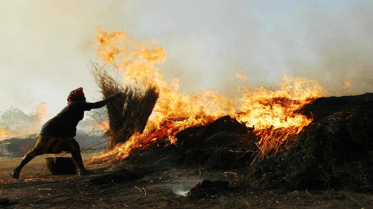 Stubble Burning Conundrum: Farmers versus The State